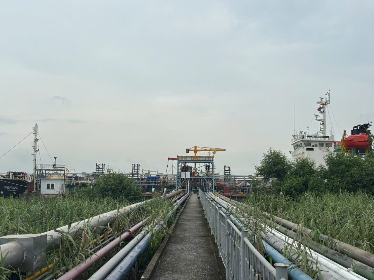 Golden Sea Shipping Successfully Handles Vessel SIRI PIPAT at Thuong Ly Terminal